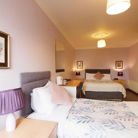 Bed & Breakfast Clareville House Scarriff (Clare)