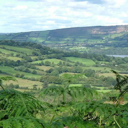 Nocleg ze śniadaniem Clareville House