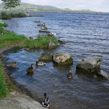 Nocleg ze śniadaniem Clareville House Scarriff (Clare)