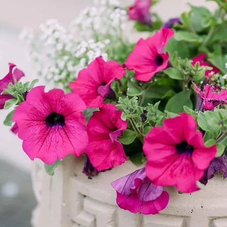 Clareville House Nocleg ze śniadaniem Scarriff (Clare)