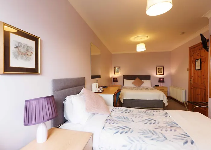 Bed & Breakfast Clareville House Scarriff (Clare)