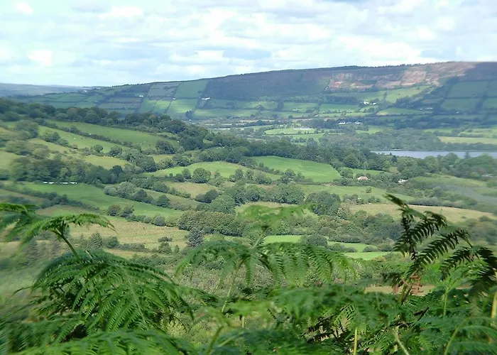 Bed & Breakfast Clareville House