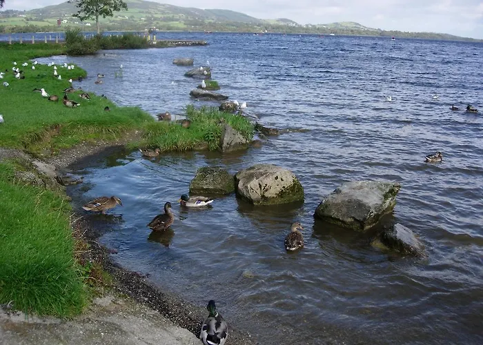 Bed & Breakfast Clareville House Scarriff (Clare)