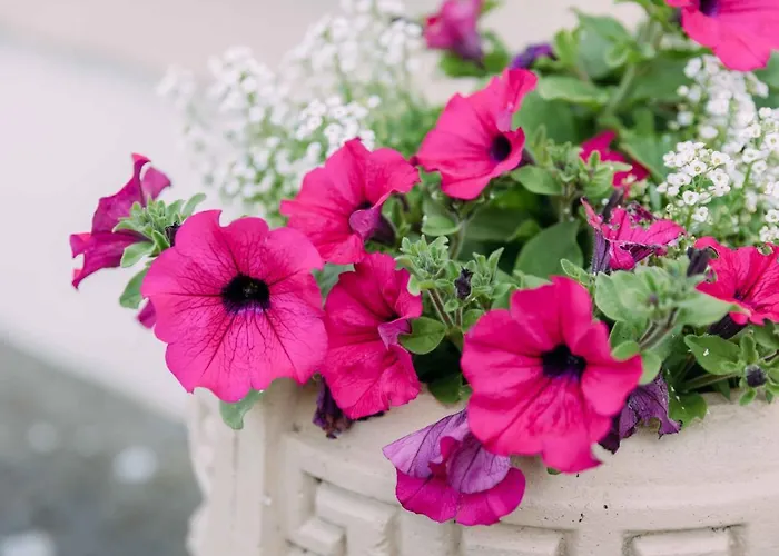 Clareville House Bed & Breakfast Scarriff (Clare)