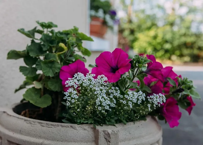 Bed & Breakfast Clareville House Scarriff (Clare)