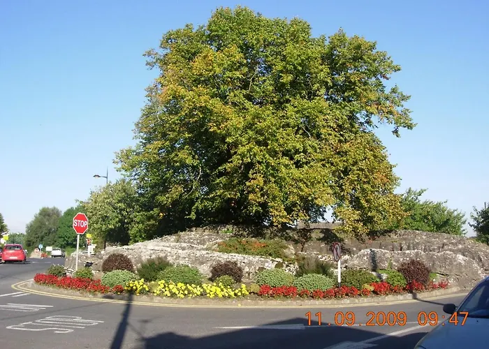 Bed & Breakfast Clareville House